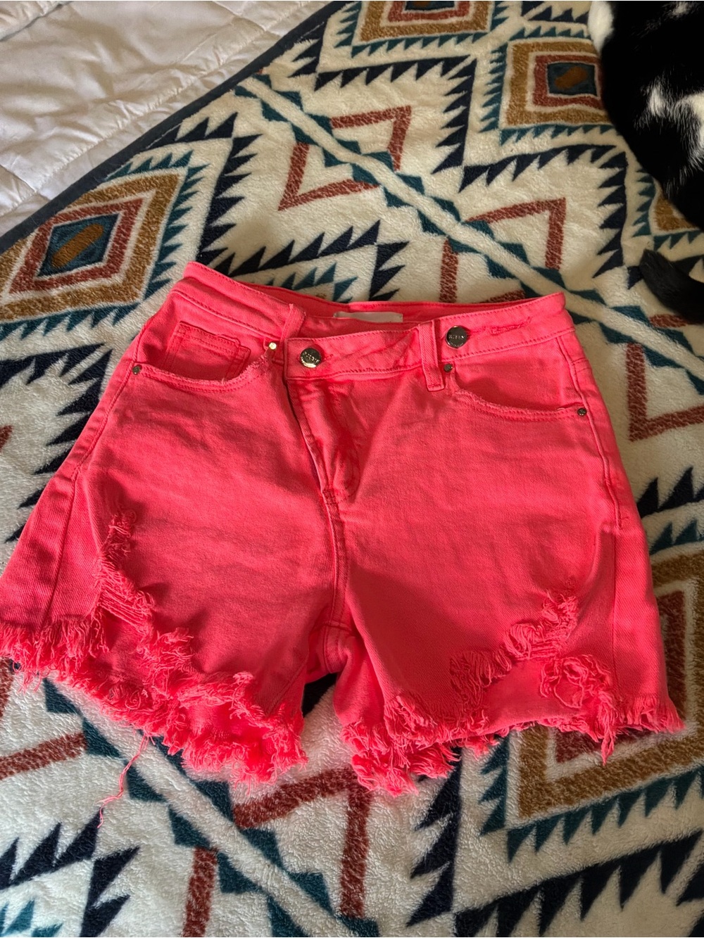 Bright Pink Frayed Denim Shorts for Women